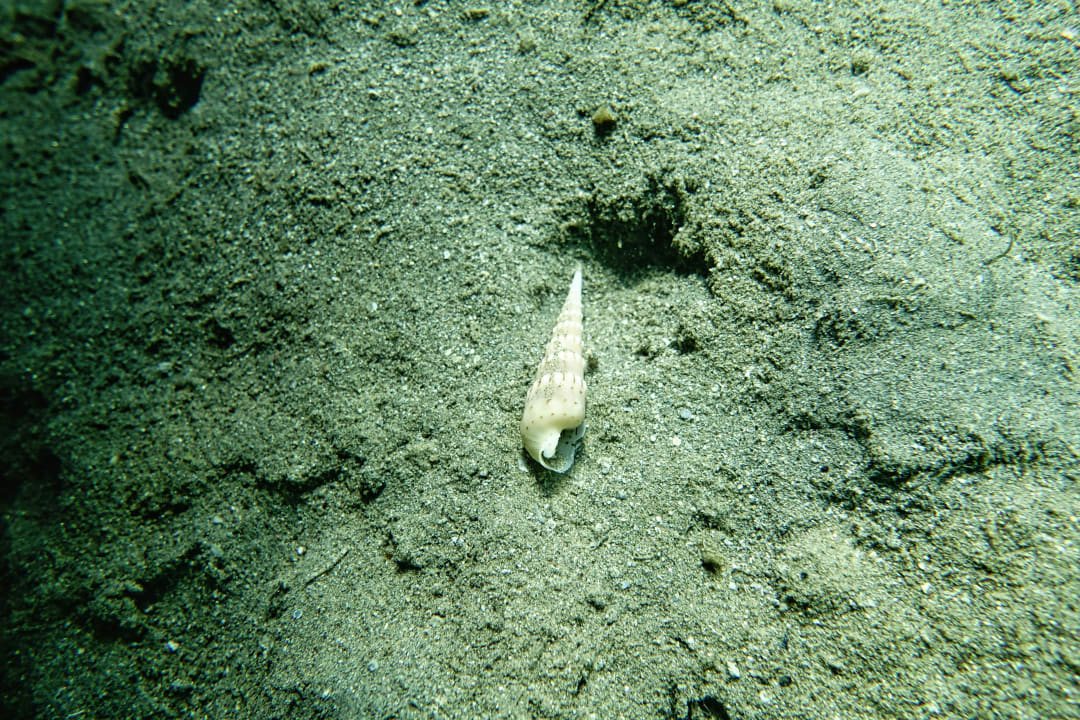 Sport & Freizeit Lahami Bay Beach Resort