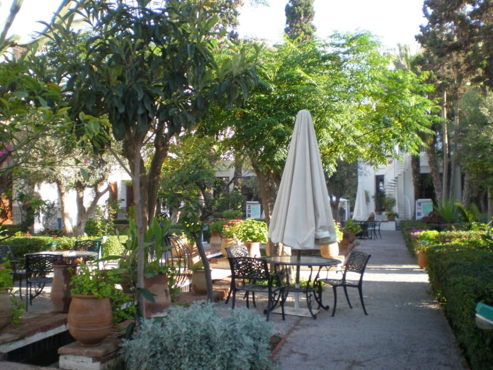 Teren hotelowy. Club El Pueblo Tamlelt