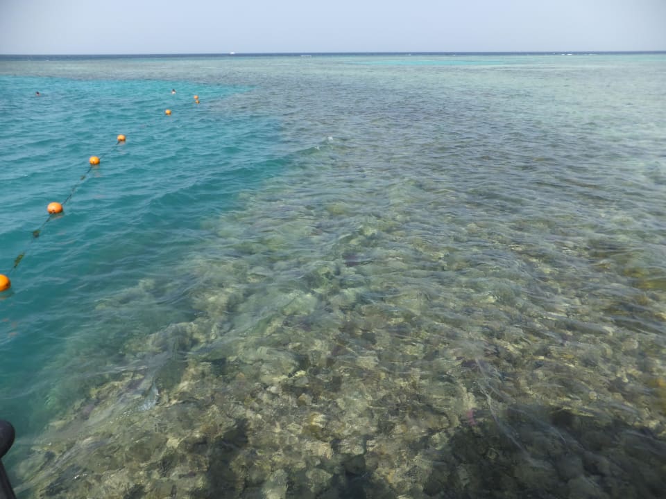 Hausriff Stella Beach Resort & Spa Makadi Bay