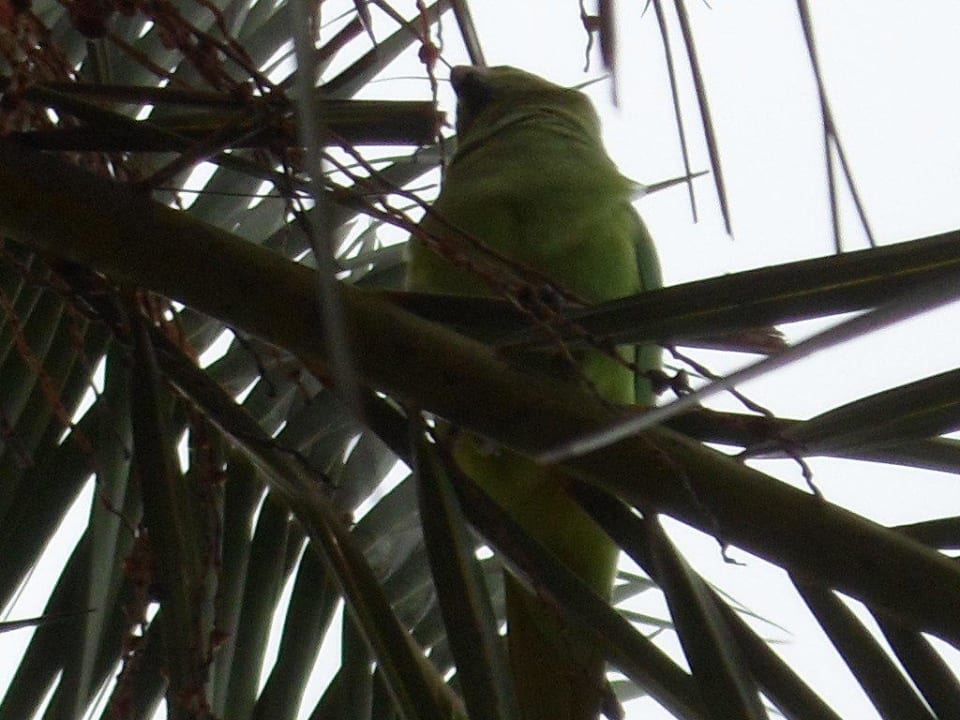 Zu Gast im Hotel Hotel Las Costas