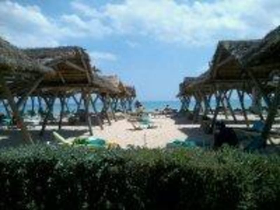 Vom Strandrestaurante bis zum Meer The Orangers Beach Resort and Bungalows