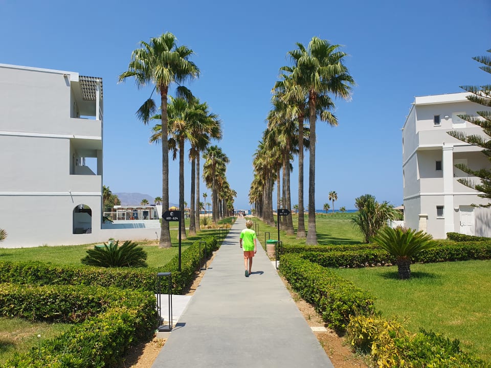 Gartenanlage Delfina Tropic Beach