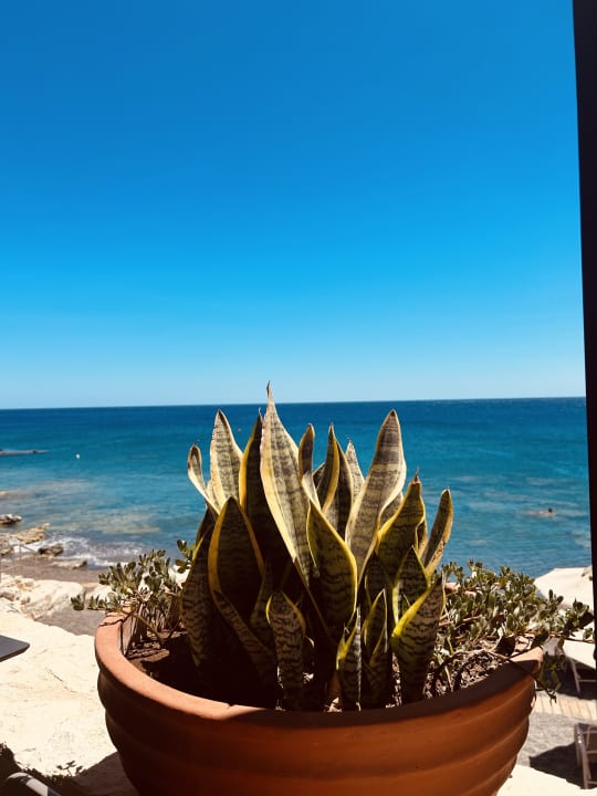 Strand Kakkos Beach Hotel