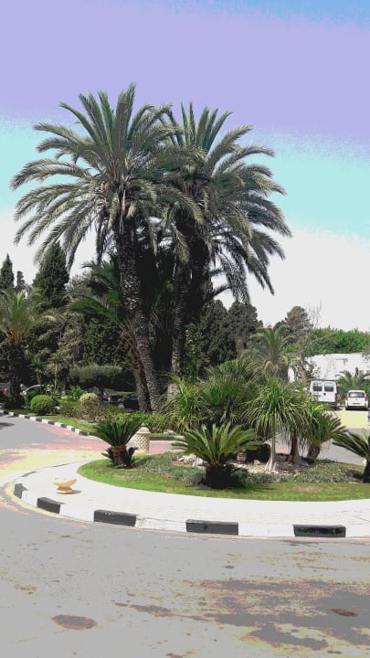 Garten Marhaba Royal Salem