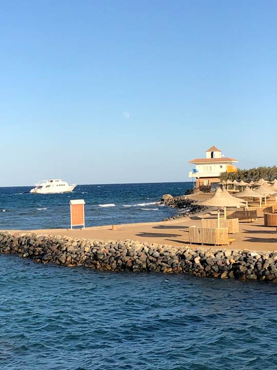 Ausblick Desert Rose