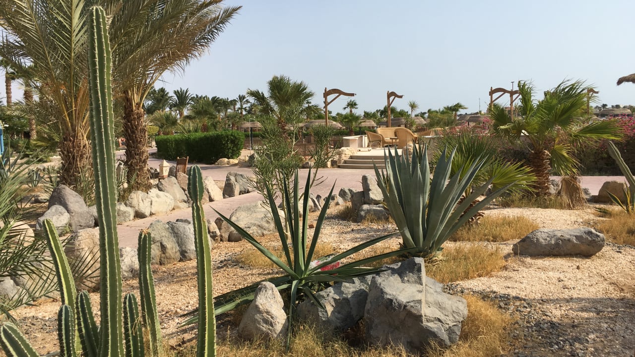 Sonstiges Lotus Bay Beach Resort