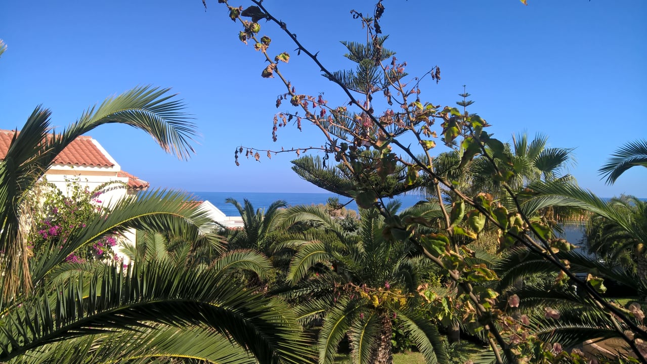 Außenansicht Iberostar Selection Creta Marine