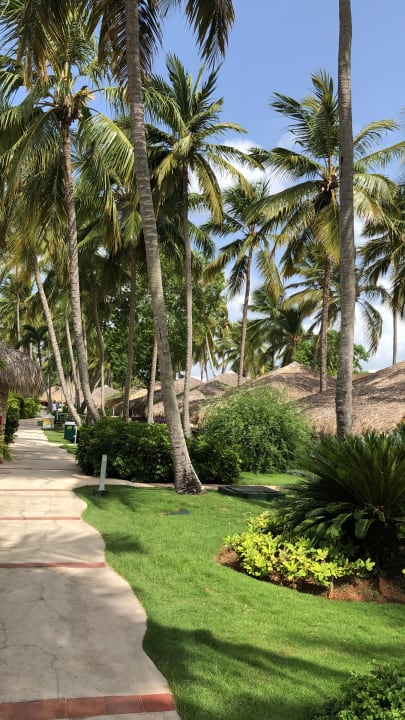 Gartenanlage Hotel Viva Dominicus Beach by Wyndham - All Inclusive Resort