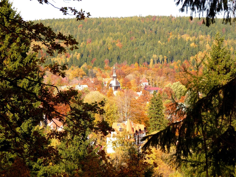 Es gibt viel zu sehen Hotel & Medi-Spa Biały Kamień