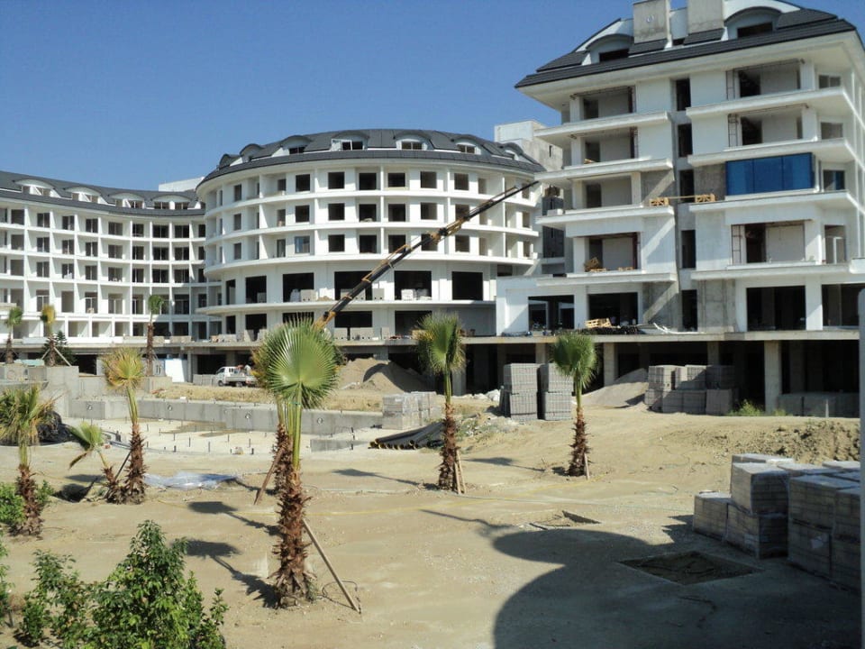 Palmen am "Pool" Commodore Elite Suites & Spa - Adults only