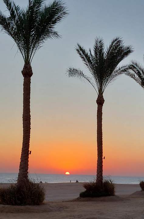 Ausblick Steigenberger Coraya Beach - Adults only