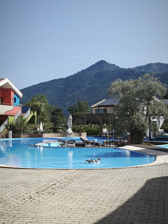 Pool Alexandra Golden Boutique - Adults only