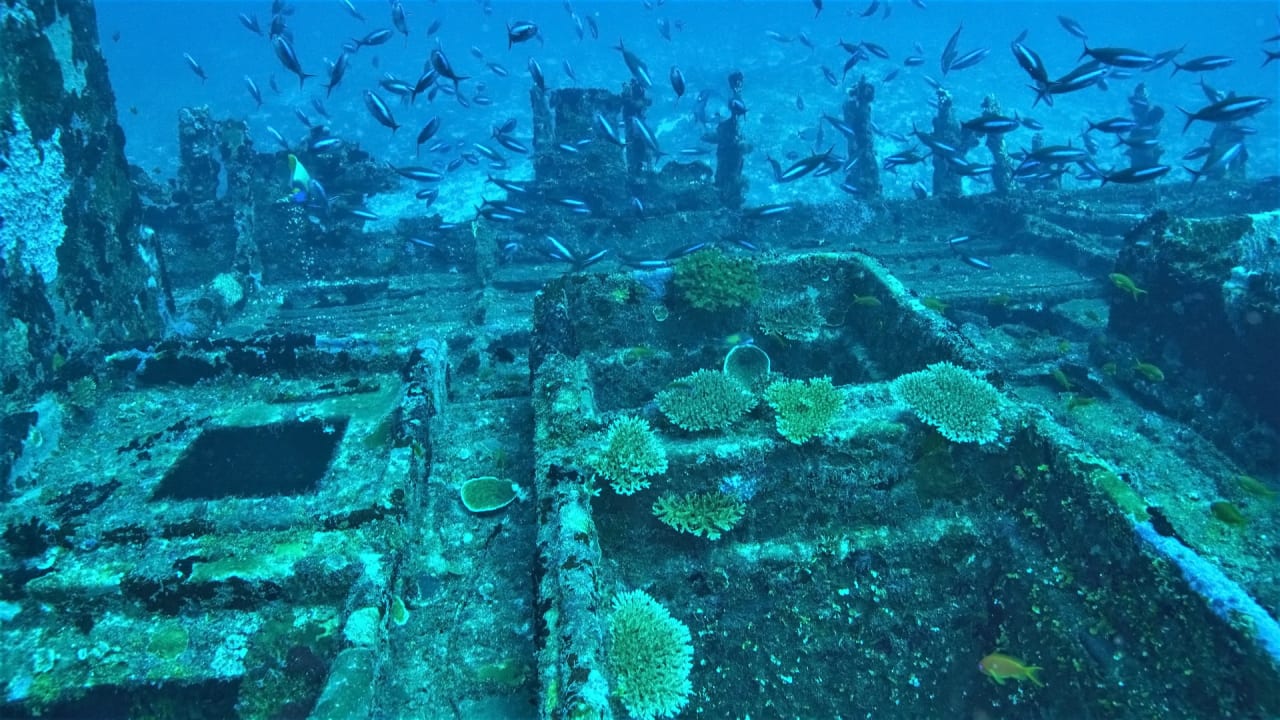 Filitheyo-Haus-Riff : exit 4-7  Filitheyo Island Resort