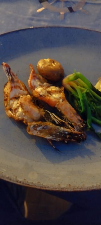 Gastro Acanthus Cennet Barut Collection