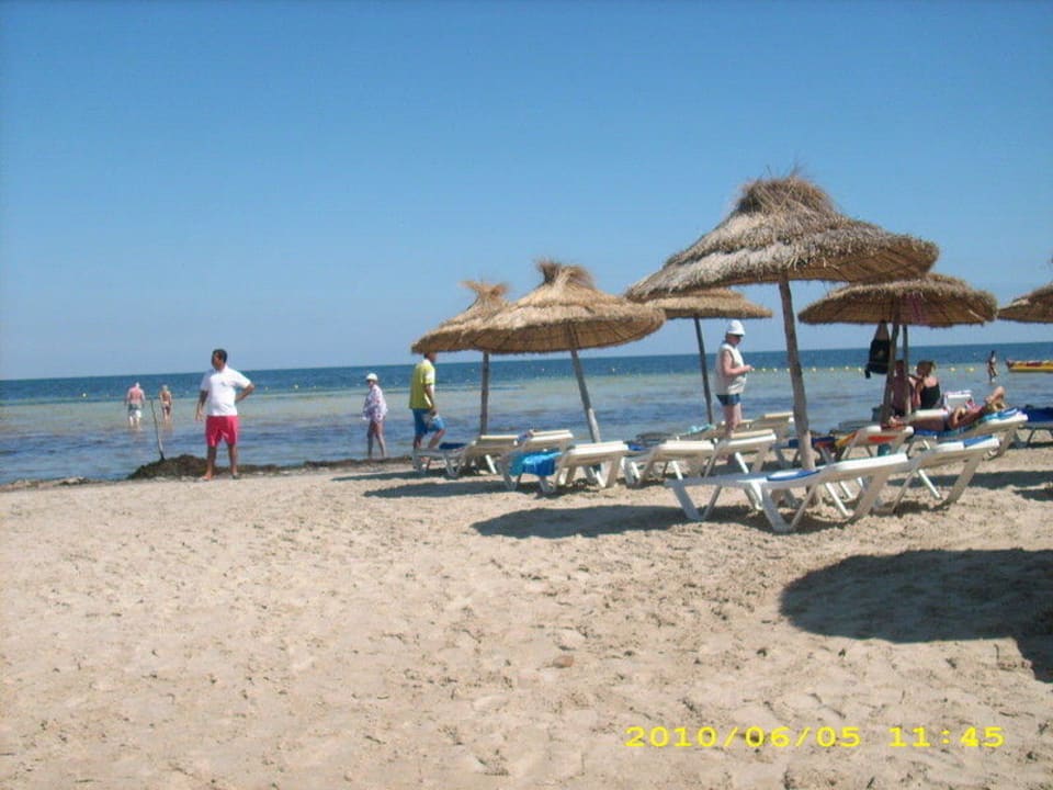 Wenn die algen nicht wären Hotel Rosa Beach