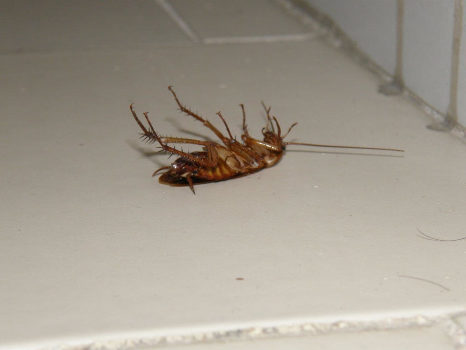 Alfred Hotel Seven Stars