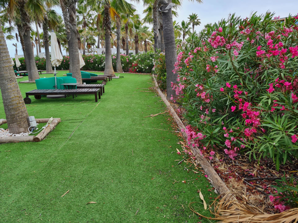 Gartenanlage Vidamar Hotel Resort Algarve