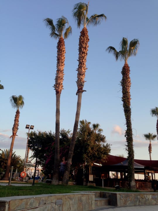 Garden Lordos Beach Hotel & Spa