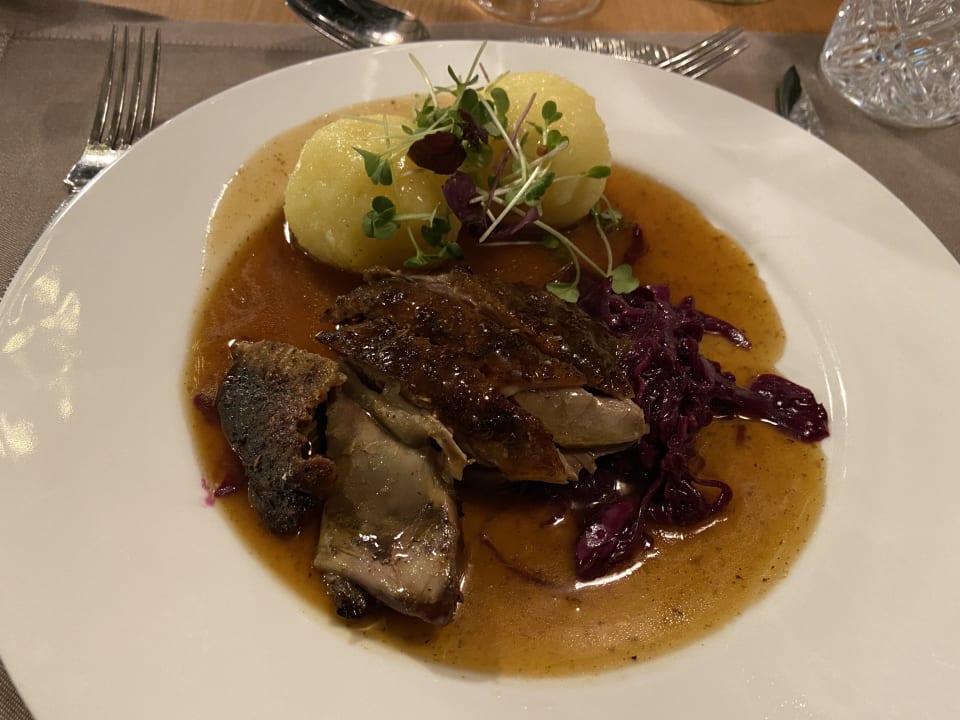 Gastro Spirit & SPA Hotel Birkenhof am Elfenhain