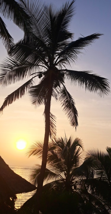 Gartenanlage Bahari Beach Hotel