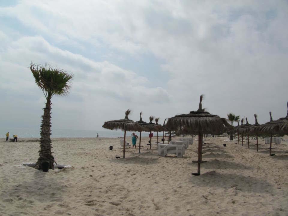 Plaża Hotel El Mouradi Palm Marina