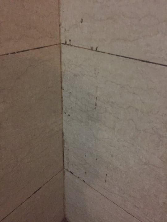 Zimmer Hotel RainTree