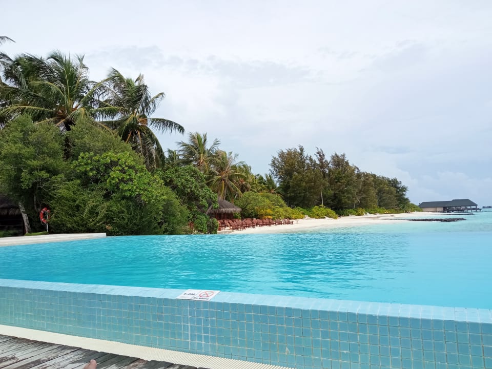 Pool Summer Island Maldives