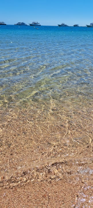 Strand The Grand Palace - Adults only