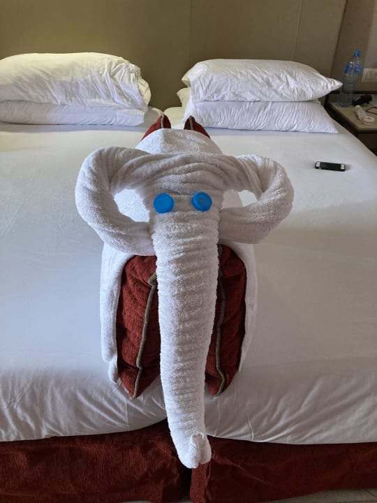 Zimmer Jaz Makadi Oasis Resort