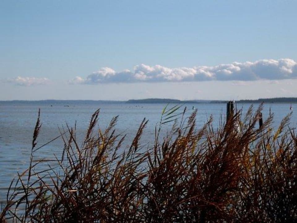 Blick auf das Wasser Hotel- & Ferienanlage Kapitäns-Häuser Breege