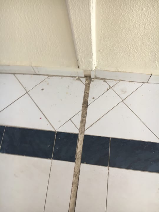 Sonstiges Desert Rose