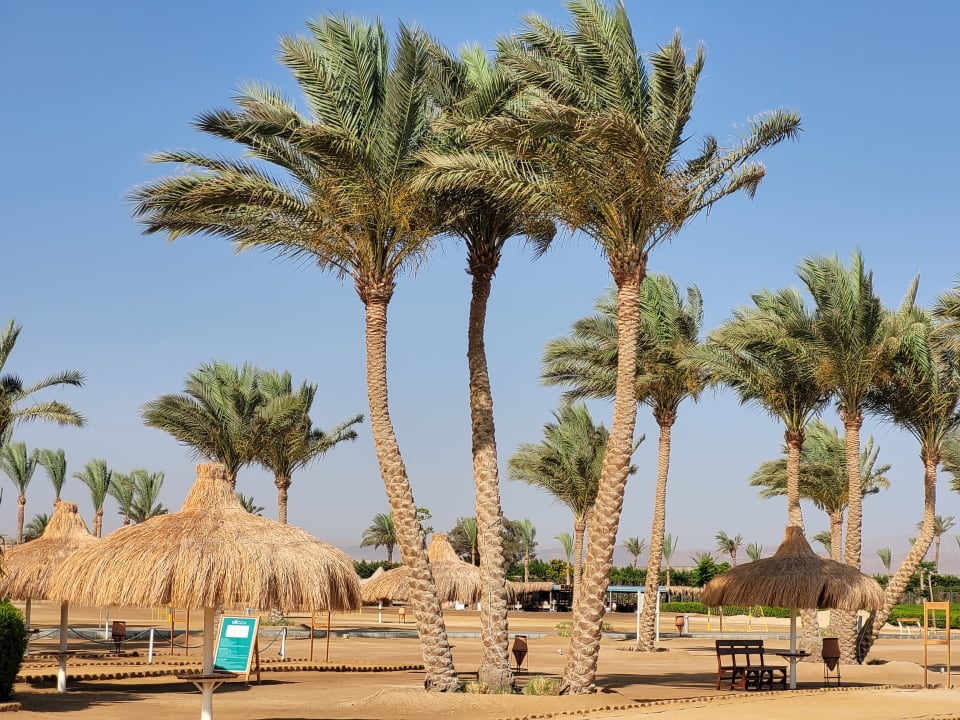 Strand Jaz Dar EL Madina