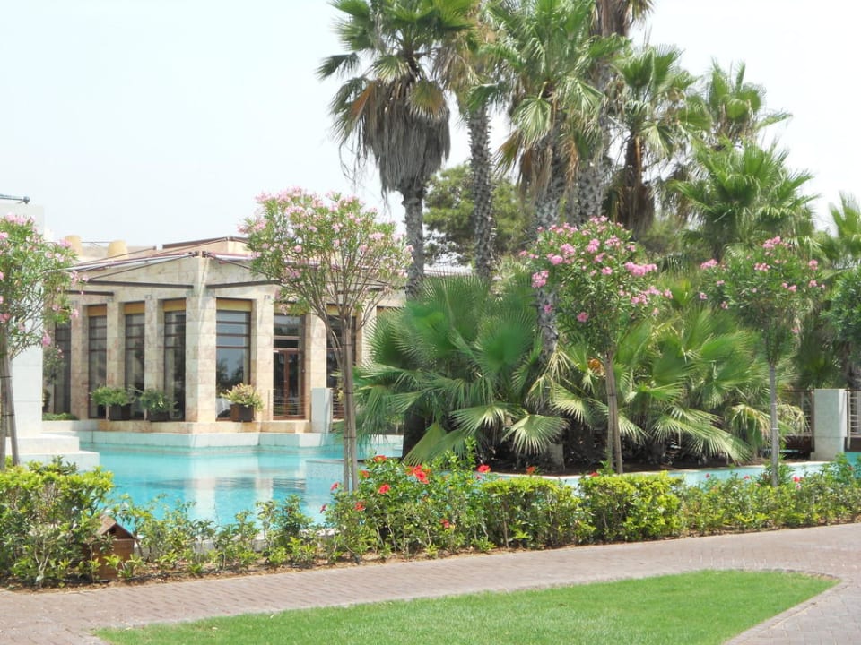 Garten/Poolanlage Gloria Serenity Resort