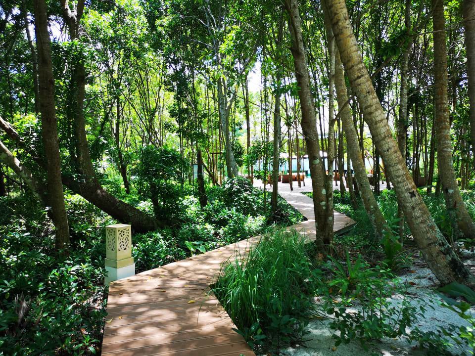 Gartenanlage Dreamland The Unique Sea & Lake Resort / Spa