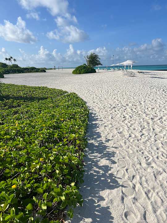 Strand Cinnamon Velifushi Maldives - Free One-Way Speedboat and 02 Kids Under 12 Stay & Dine Free