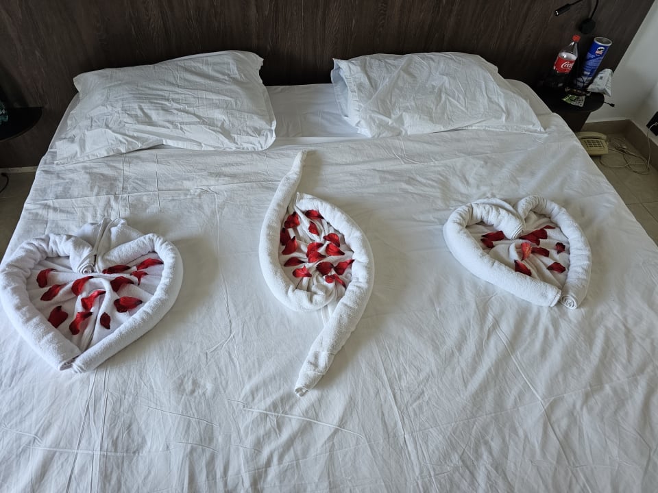 Zimmer Mahdia Beach & Aquapark