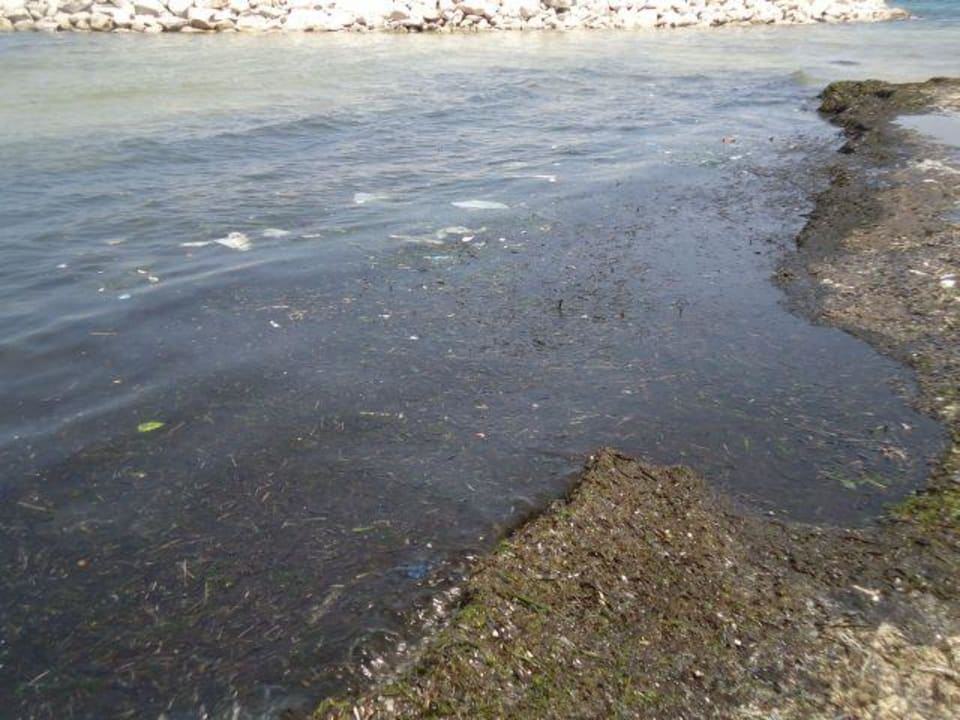 Es stank wie Jauche Marhaba Royal Salem