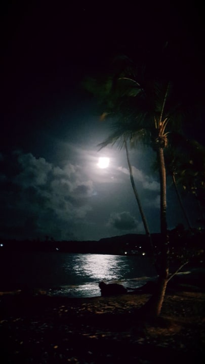 Nachts bei Vollmond  Wyndham Alltra Samana