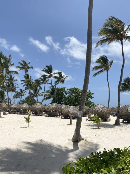Strand Serenade Punta Cana Beach & Spa resort