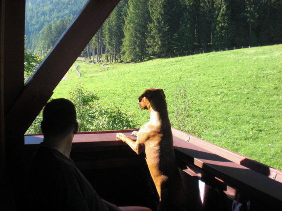 Blick vom Balkon Gasthof St.Hubertus