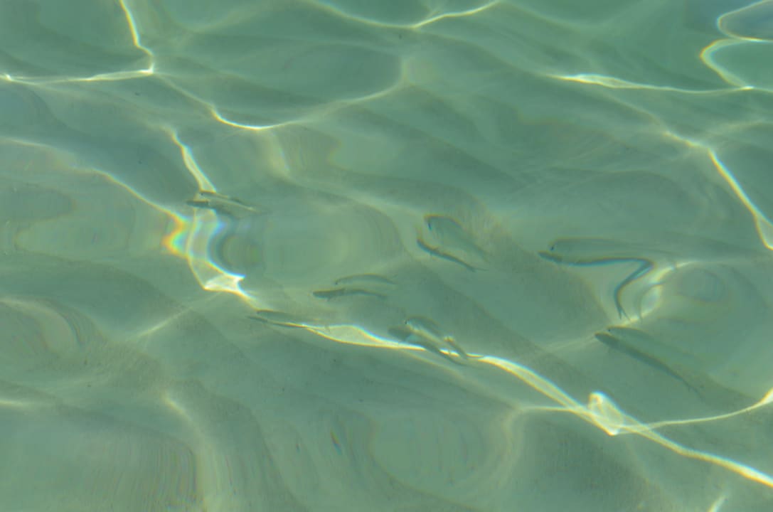 Пляж отеля Hotel Riu Ocho Rios