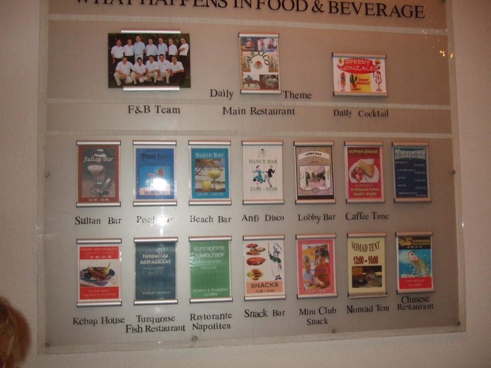 Publicaties van wat er allen is  Turquoise Hotel