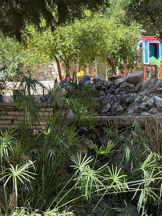 Gartenanlage Trinitys Ulupinar