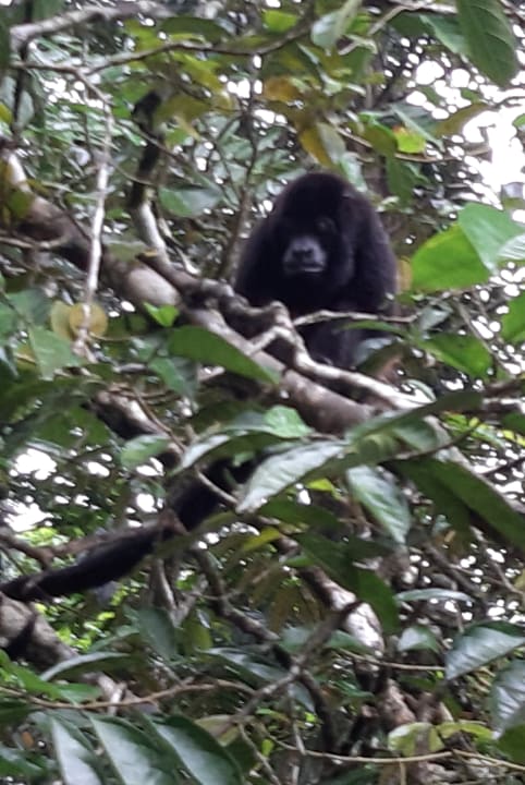 Gartenanlage Hotel Aninga Lodge