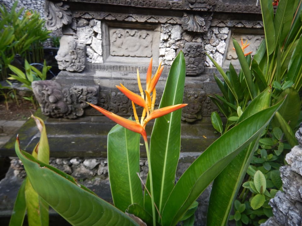 Gartenanlage The Oberoi Beach Resort, Bali