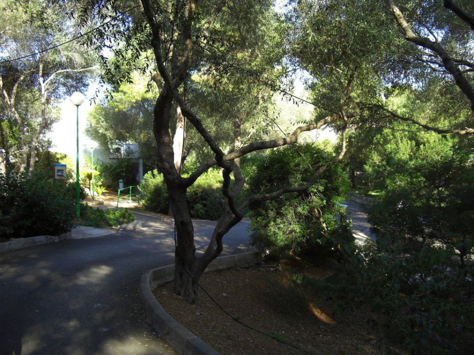 Weg zu und von den Hotelzimmern Flipflop Cala Romantica