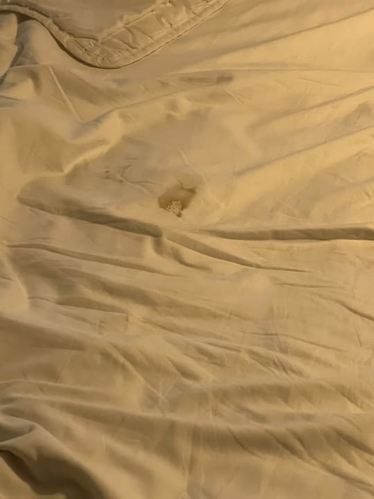 Zimmer HOVIMA La Pinta Beachfront Family Hotel