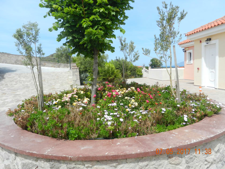 Gartenanlage Hotel Sunrise Resort