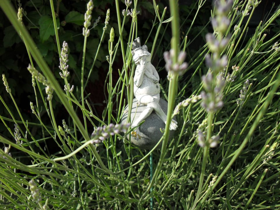 Gartenanlage Seehotel Gut Dürnhof