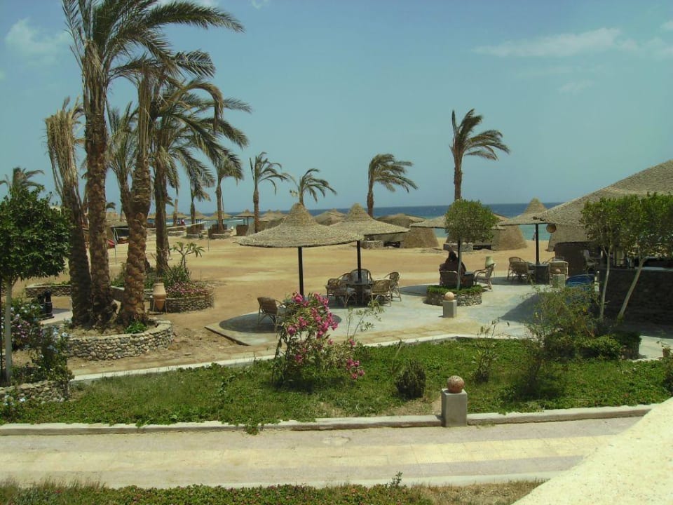 Garten und Strand Coral Garden Hotel Coral Garden